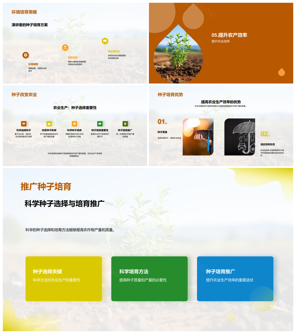麦田优质种子选育提升产质效PPT模板