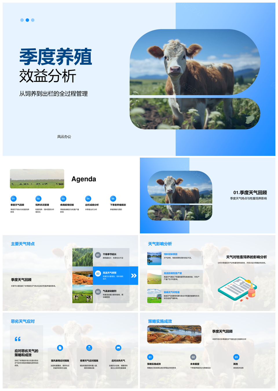 牲畜季度饲养出栏效益管理分析PPT模板