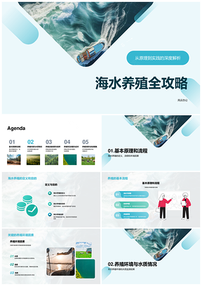 海水养殖数据策略技术员经理全流程指南PPT模板
