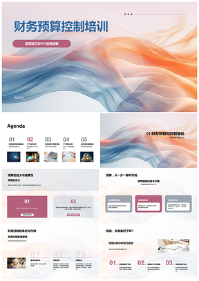 2025财务预算控制培训PPT实用技巧应用
