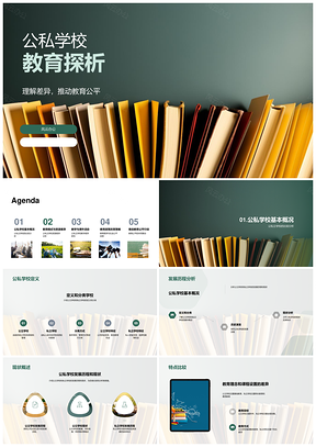 公私立学校教育公平资源模式活动建筑比较PPT模板