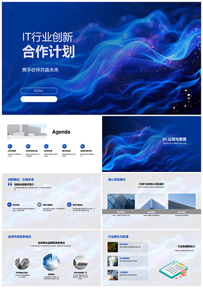 2025IT行业首席财务官创新业务模式全球市场竞争PPT模板