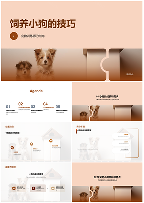 家庭主人饲养小狗各阶段训练技巧PPT模板
