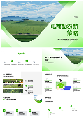 电商助农新模式与农产品电商发展研究PPT模板