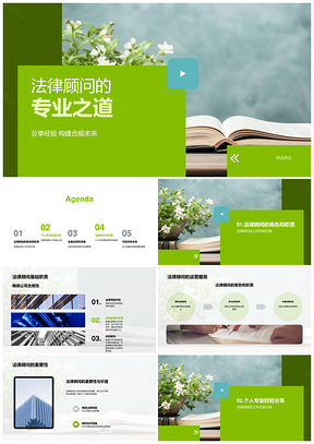 法律顾问合规风险管理策略成功案例经验PPT模板