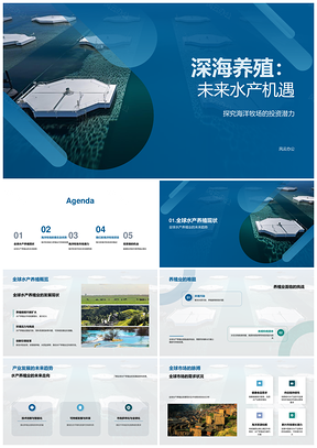 深海养殖海洋牧场投资潜力与可持续发展PPT模板