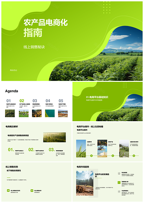 农产品电商化线上销售运营实战指南PPT模板