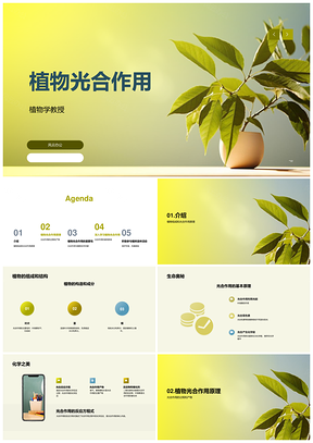 植物光合作用光能吸收碳固定反应产物PPT模板