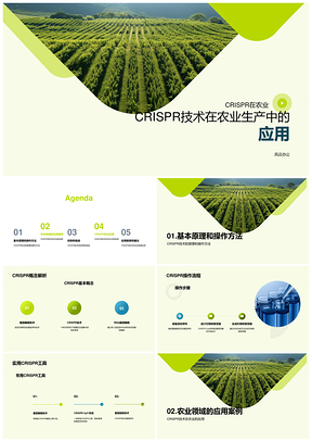 CRISPR技术农业应用与操作解析PPT模板
