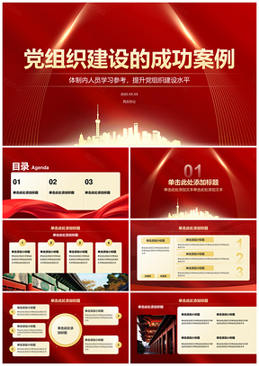 2025党组织建设成功案例实践提升组织能力效率PPT模板