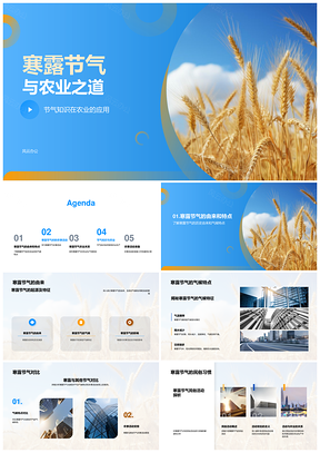 寒露农事种植收获与麦田管理PPT模板