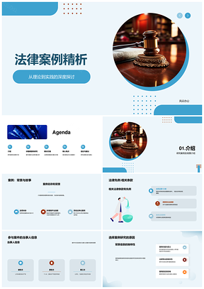 法学师生某案法槌研究分析汇报PPT模板