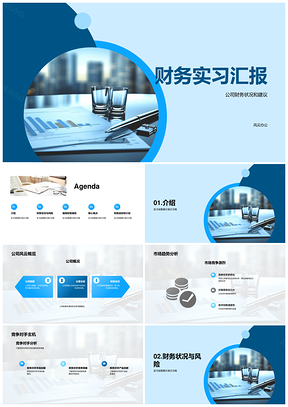 财务实习公司市场竞品财务指标风险机遇成本图表汇报PPT模板