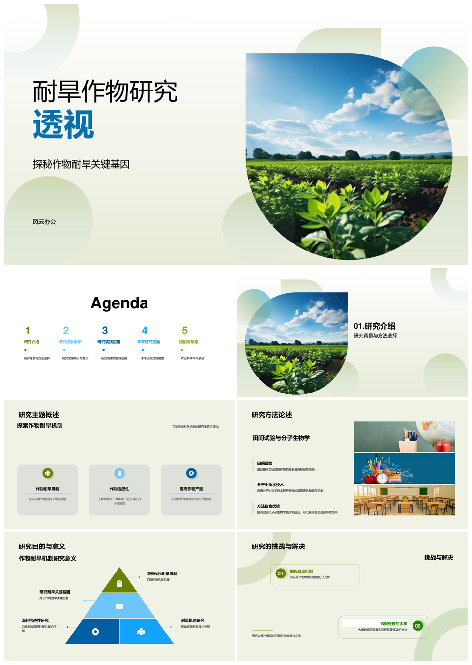 耐旱作物关键基因抗逆机制与农学研究PPT模板