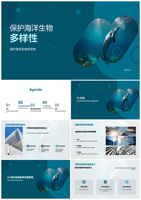保护海洋生物多样性维护生态系统可持续发展PPT模板
