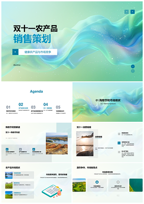 双十一健康有机农产品竞市销售策略PPT模板
