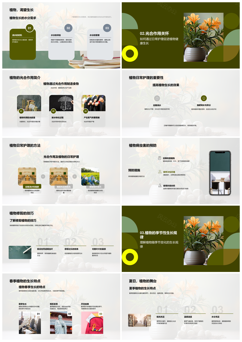 植物照护园艺乐趣生长养分修剪盆栽季节PPT模板