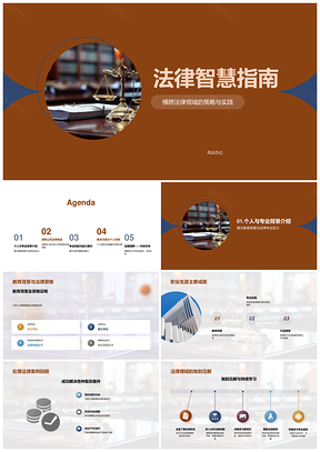 法律智慧专业认证与风险管理策略PPT模板