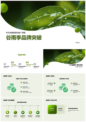 谷雨季品牌突破消费趋势社交媒体推广策略PPT模板