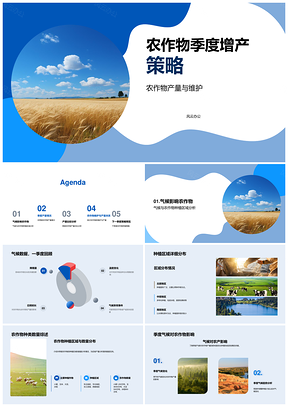 小麦季产防灾病虫维护策略PPT模板