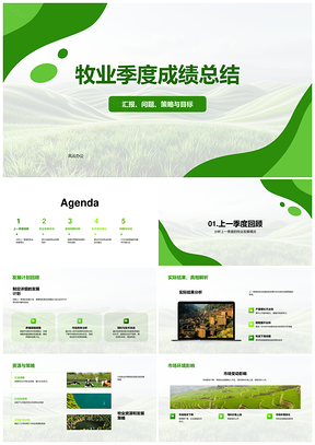 牧业季度总结问题策略目标市场饲料分析PPT模板