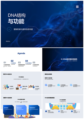DNA结构功能复制遗传传递稳定性研究PPT模板