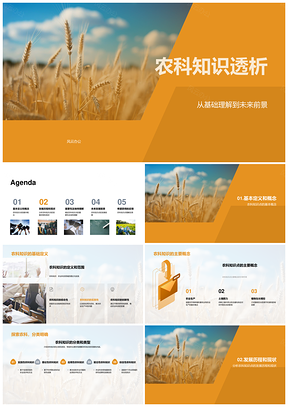 农科知识透析基础发展现代农业应用小麦田PPT模板