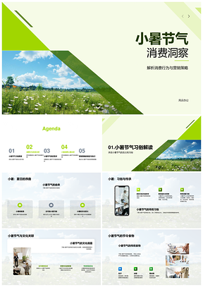 小暑热浪防暑冷饮消费行为与营销策略研究PPT模板