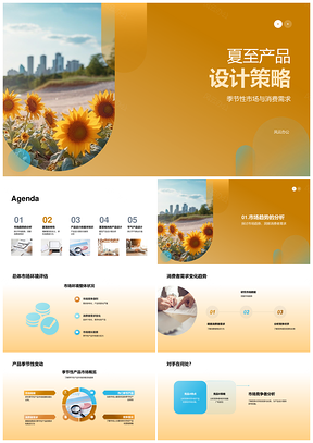 夏至产品策略季节性消费需求文化传统向日葵PPT模板