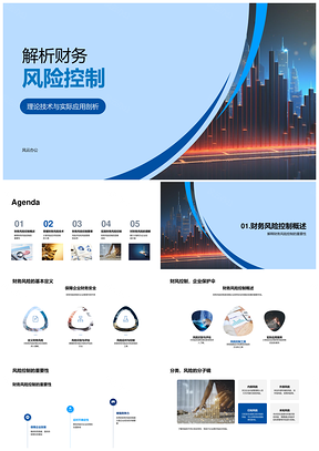 财务风险控制理论技术应用与风险管理工具PPT模板