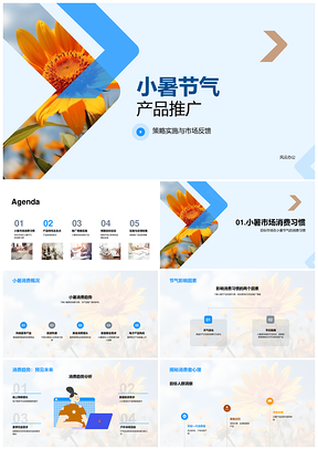 小暑向日葵产品推广策略提升市占品牌PPT模板