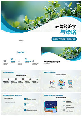 环境经济学视角下环境治理与资源配置策略PPT模板