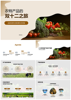 双十二农特产品电商运营专员助力优质原生态生活PPT模板