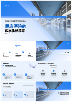 民族医院数字化转型提升管理医疗效率应用PPT模板