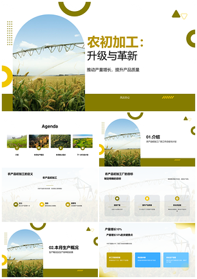农产品初加工新工艺突破提升增产10%目标PPT模板