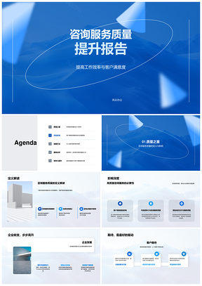 咨询服务质量效率提升与客户满意度优化PPT模板