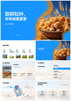 农林牧渔部门半年总结展望麦田成果PPT模板