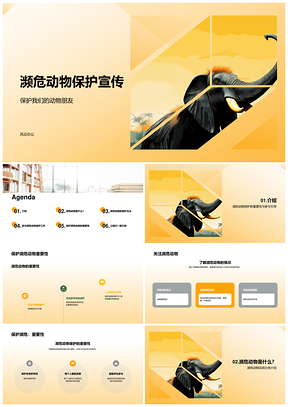 濒危动物保护环保志愿宣传小学生自然科学栖息地灭绝PPT模板