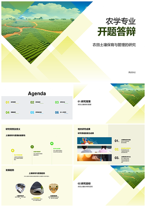 农田土壤保育管理关键技术研究与发展策略PPT模板
