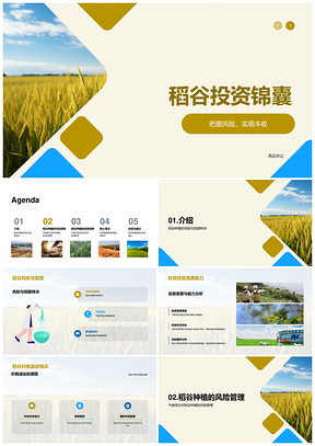 稻谷种植投资风险管理决策顾问PPT模板