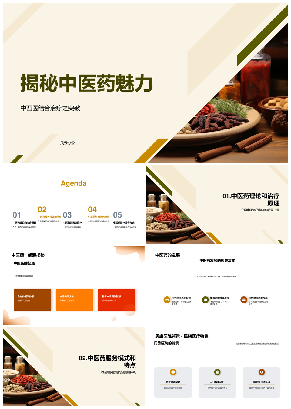 民族医院中医药阴阳五行气血治理论探秘PPT模板