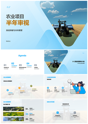 麦田项目半载管理成果挑战突破展望PPT模板