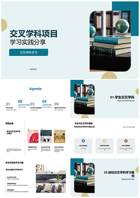 交叉学科项目实践提升认知合作解决能力PPT模板