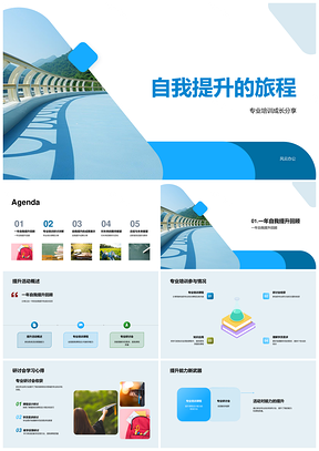 职业培训登峰述职提升教学技能课程质量PPT模板