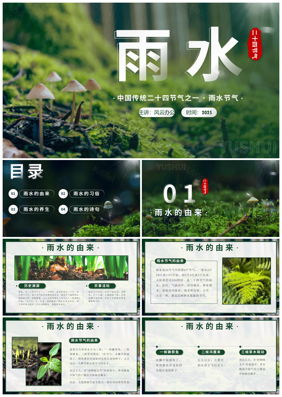 2025实景森林二十四节气雨水地理渐变传统科普课件