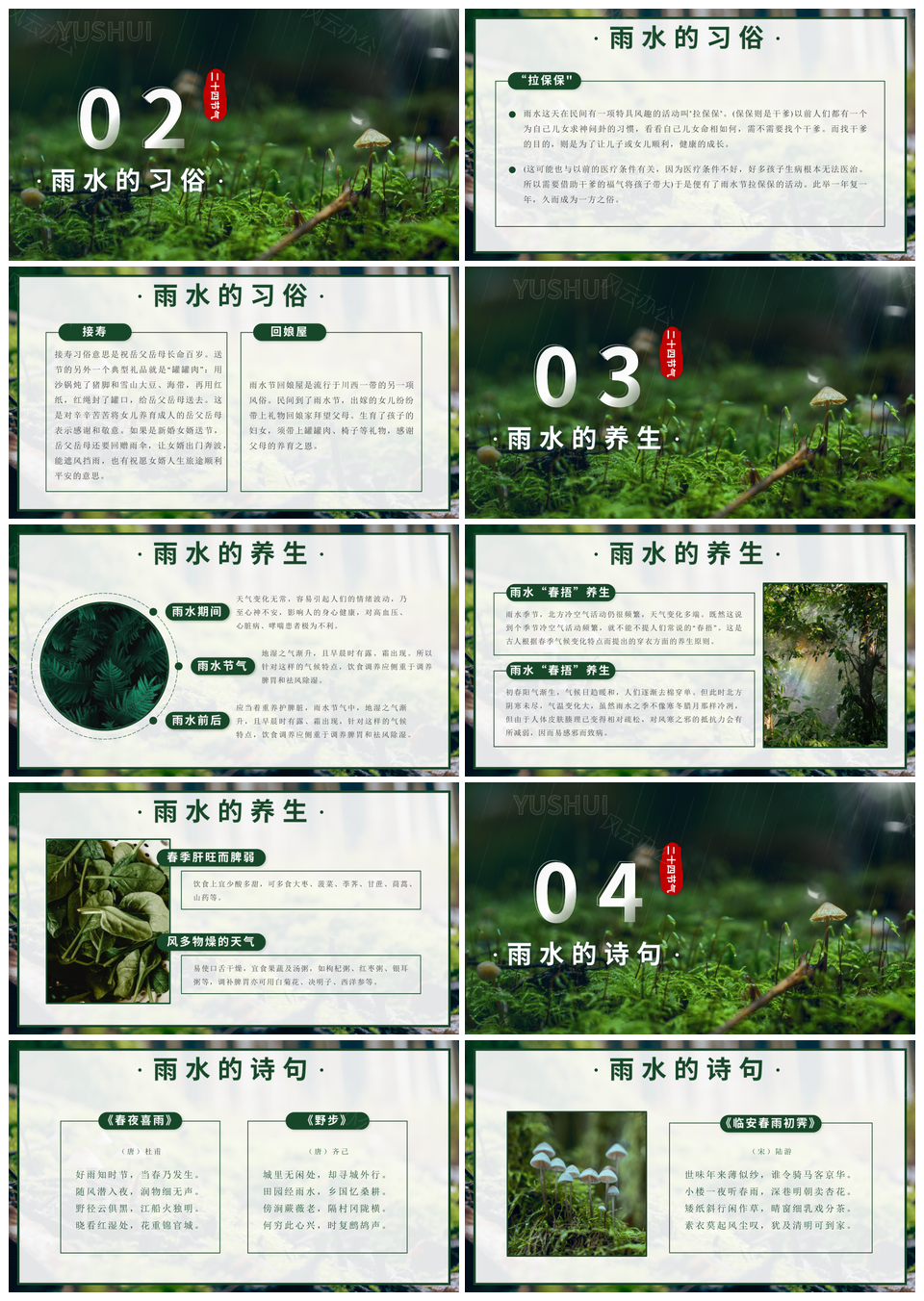 2025实景森林二十四节气雨水地理渐变传统科普课件