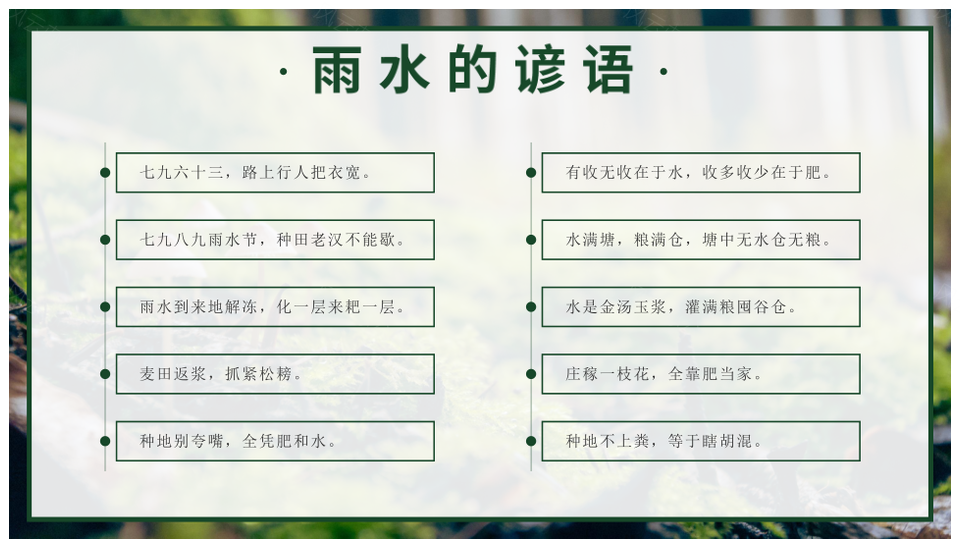 2025实景森林二十四节气雨水地理渐变传统科普课件