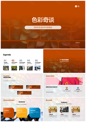 幼儿色轮光影艺术科学探秘PPT模板