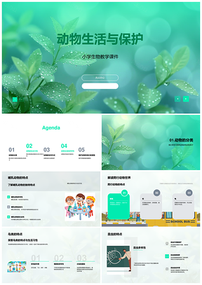 动物生活习性保护生物教学课件