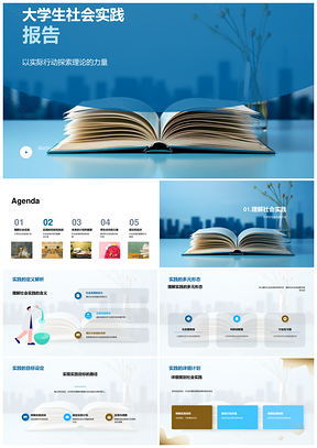 大学生理论实践多元形态经验挑战PPT模板